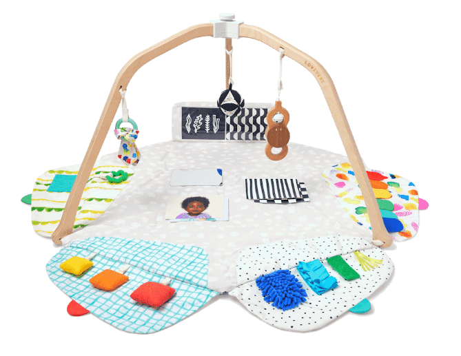 The Lovevery Play Gym (Baby Activity & Tummy Time Mat)